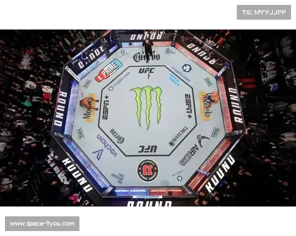 UFC周边商品销售额创新高,格斗文化渗透主流市场 UFC周边商品销售额创新高,格斗文化渗透主流市场